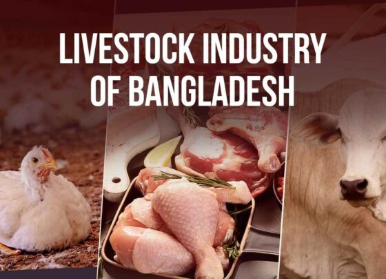 Livestock Bangladesh