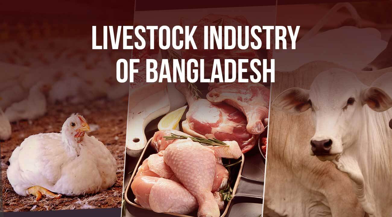 Livestock Industry of Bangladesh: Growth, Challenges and Future Opportunities