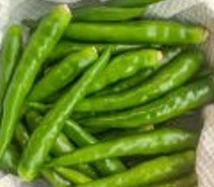 Talukder Tetulia post 41:  How to keep chili fresh for a long time