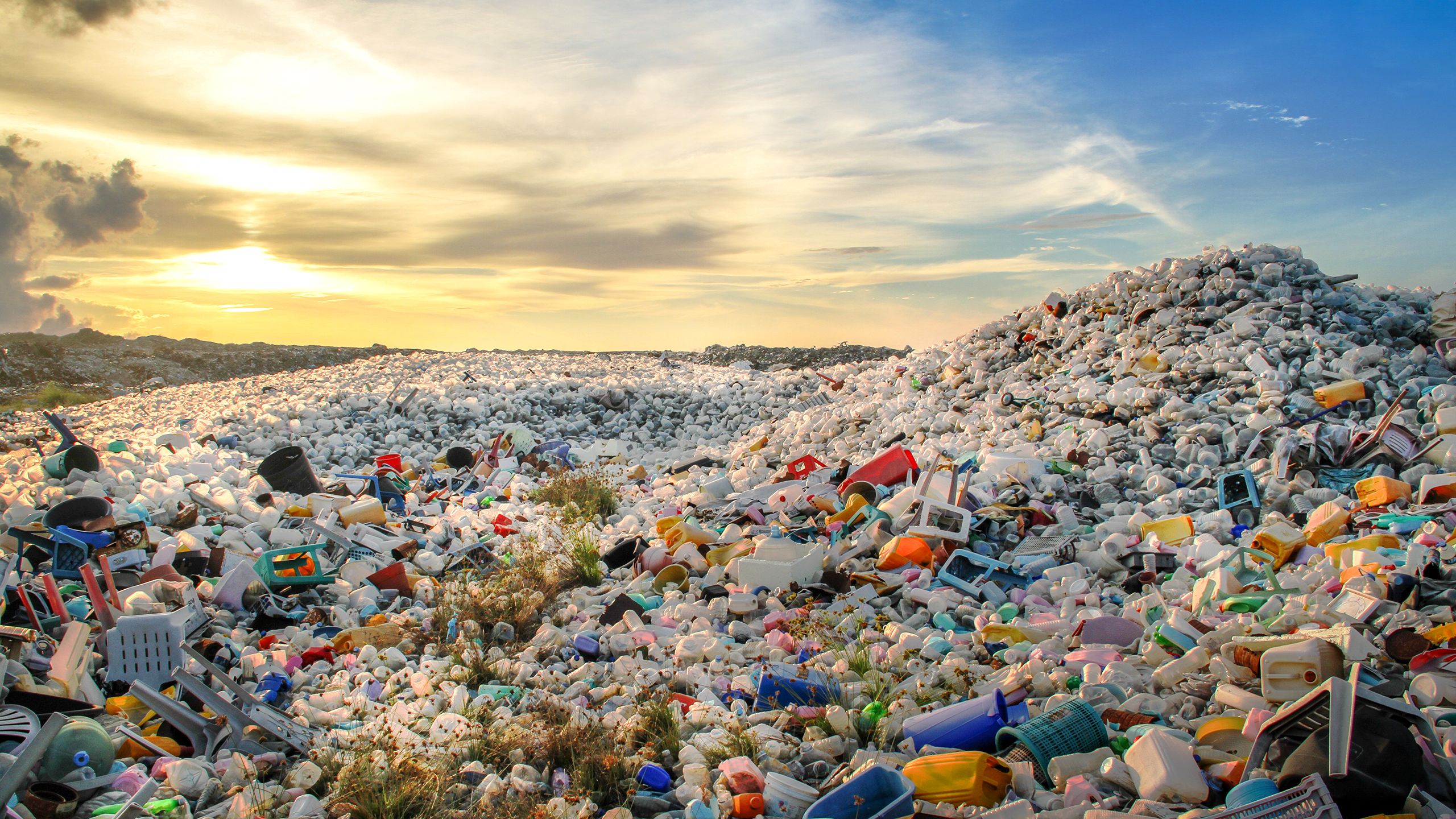 Can the Events Sector Truly Become a Zero-Waste Industry?