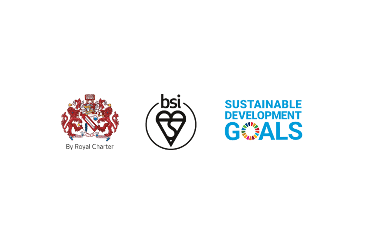 BSI launches updated guidance to enhance event sustainability