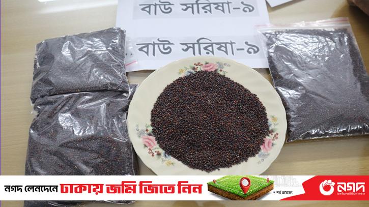 Development of high yielding Bau Mustard-9 in Buckwheat