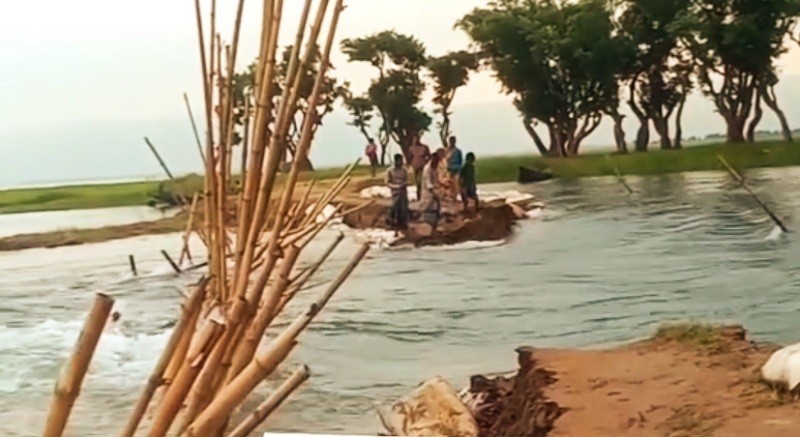 Other areas of Tahirpur are safe due to the collapse of Nazarkhali crop protection dam