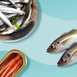 Shifting to seafood instead of red meat could save 750,000 lives a year: study