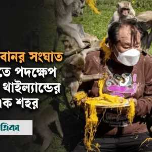 A city in Thailand is taking steps to avoid human-monkey conflict