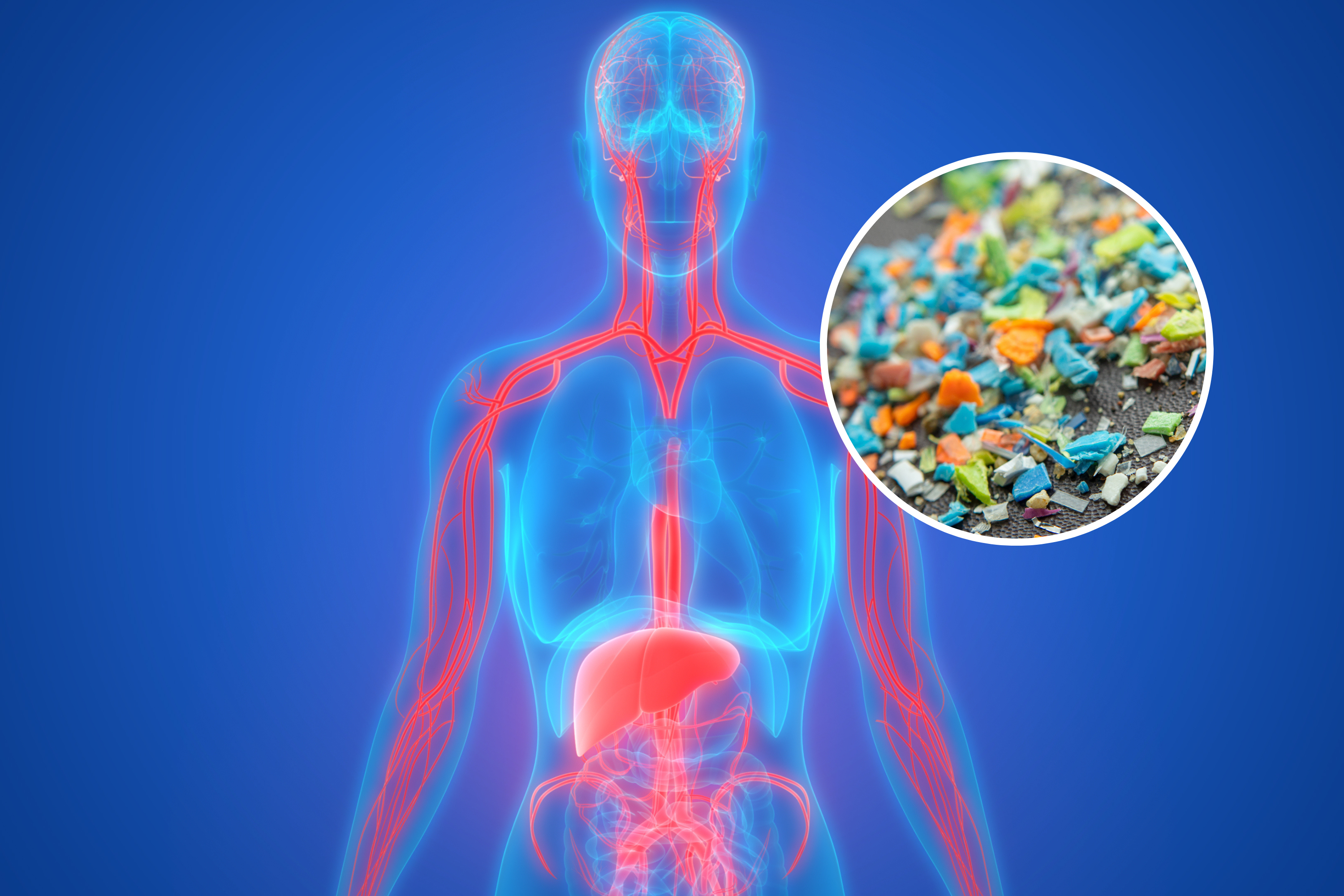 Warning as Microplastics Escape Gut to ‘Infiltrate’ Brain