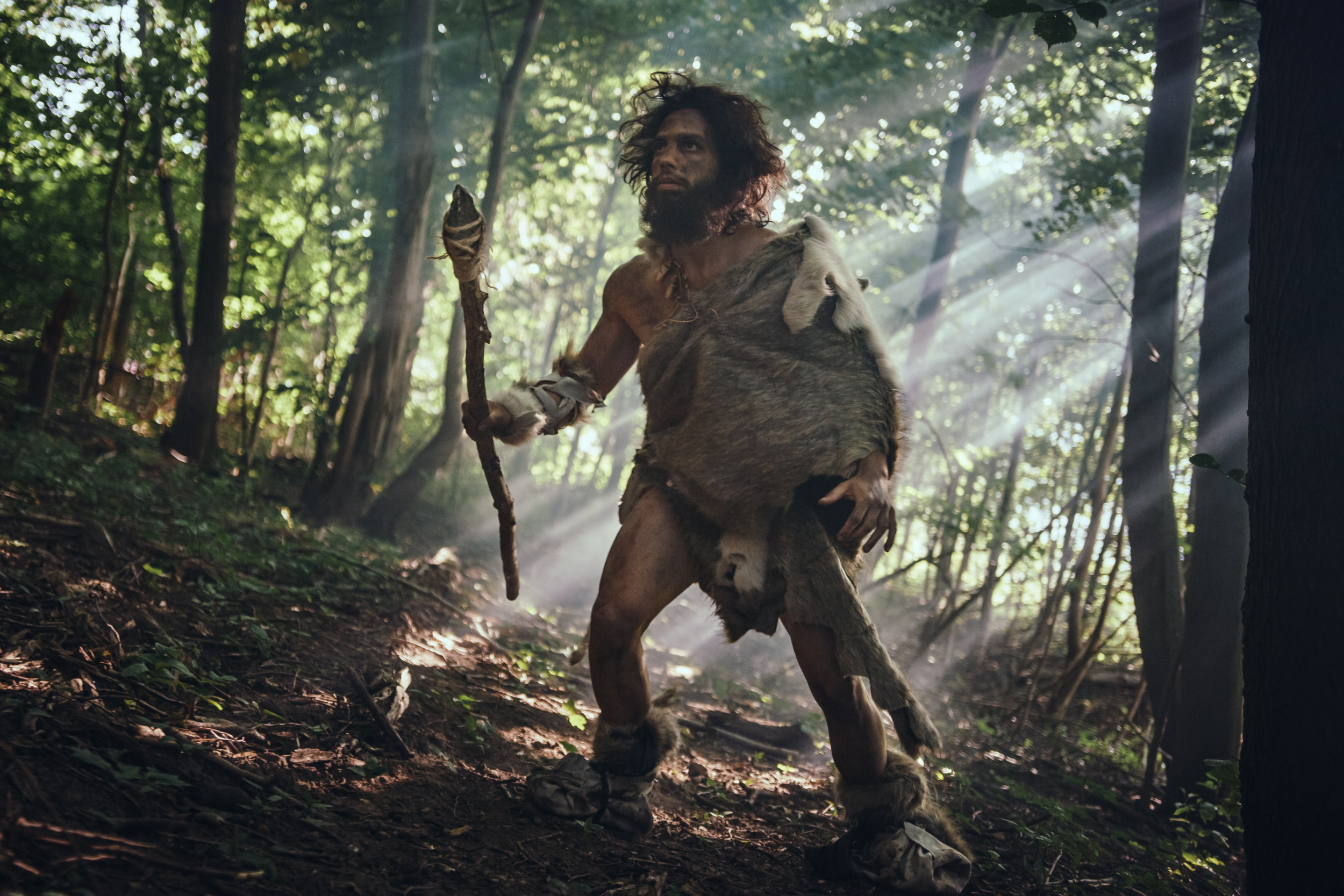 Prehistoric Burial Site Reveals Surprising Secrets of Hunter–Gatherer Diet