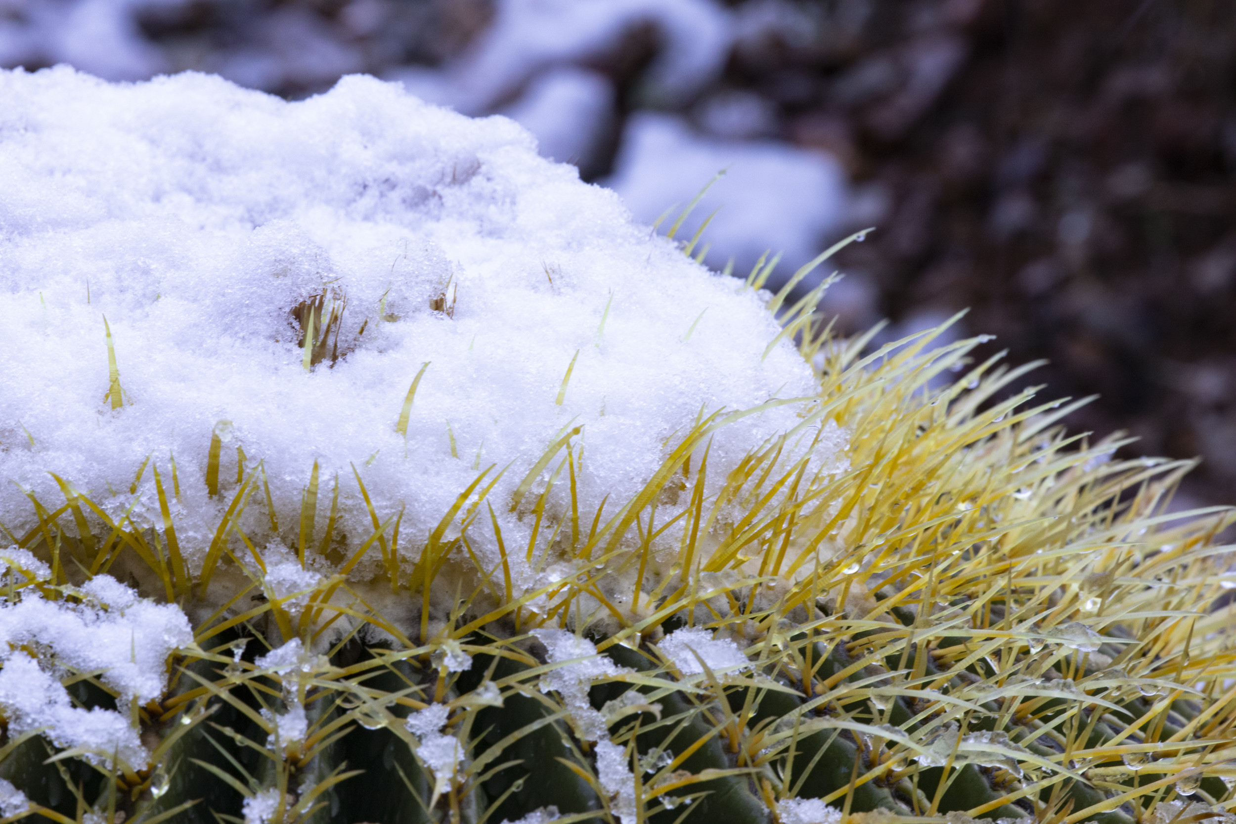 Winter Weather Alert for 8 States