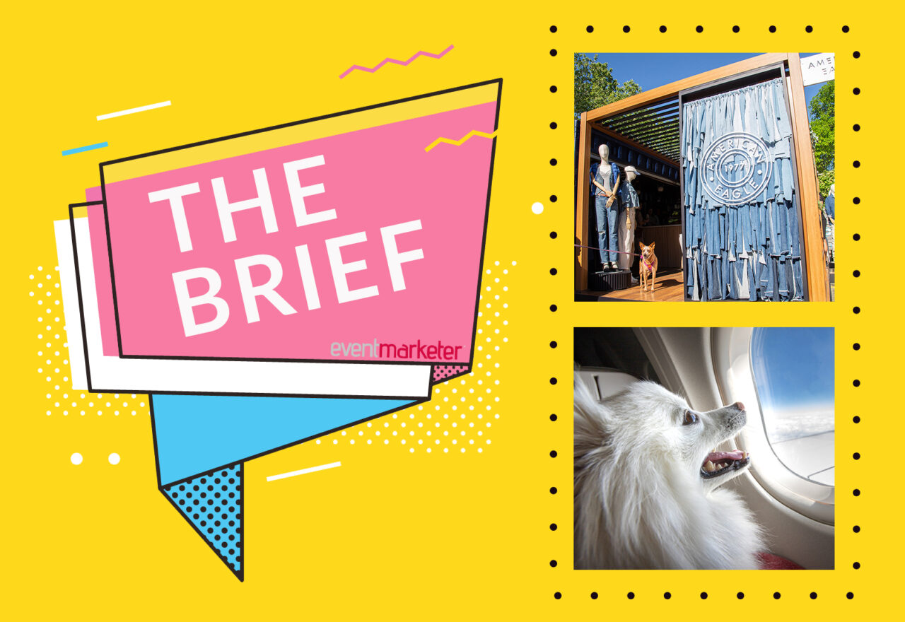Denim Cafés, Scented Billboards and BARK Air