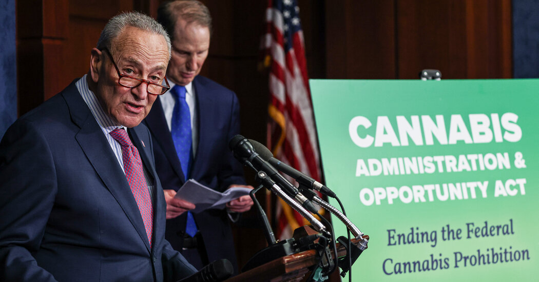 Senate Democrats Reintroduce Legislation to Legalize Marijuana