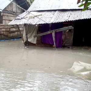 'All gone to vice, no cooking for two days', indescribable misery on the coast