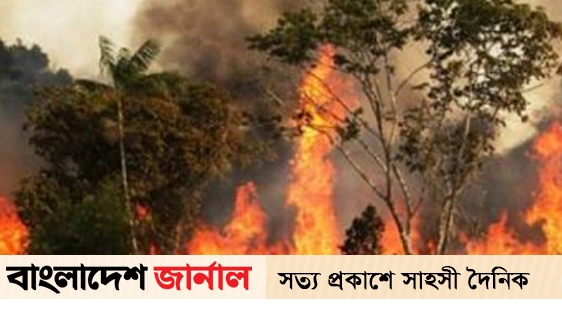 A terrible fire in the Sundarbans