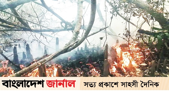Sundarban was on fire overnight, fire service started working in the morning