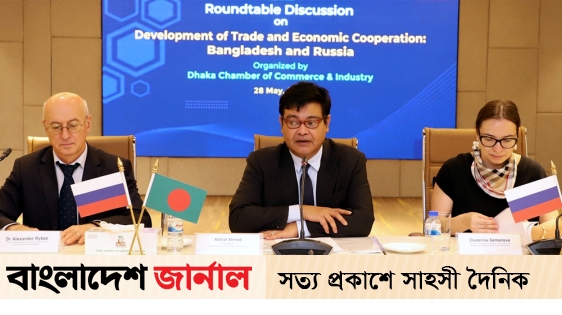 DCCI calls for Russian investment in energy and power sector