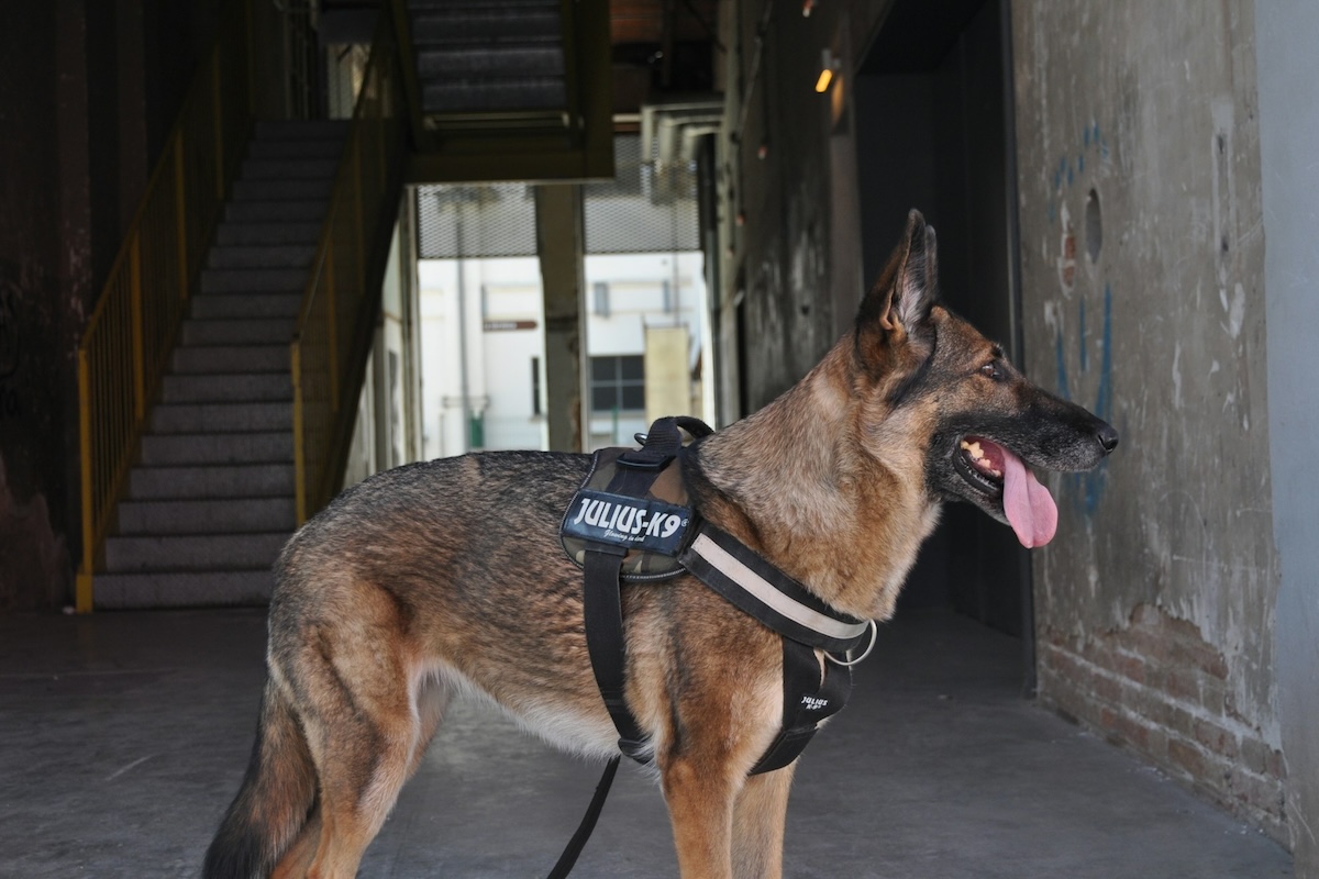 RIMS Enhances Security Measures for RISKWORLD in San Diego