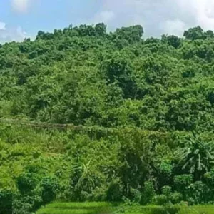 2 Bangladeshis seriously injured in landmine explosion on Myanmar border