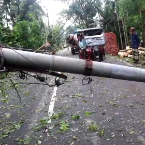 Cyclone Rimal's rampage: 1500 houses destroyed in Pirojpur, power cut for 2 days