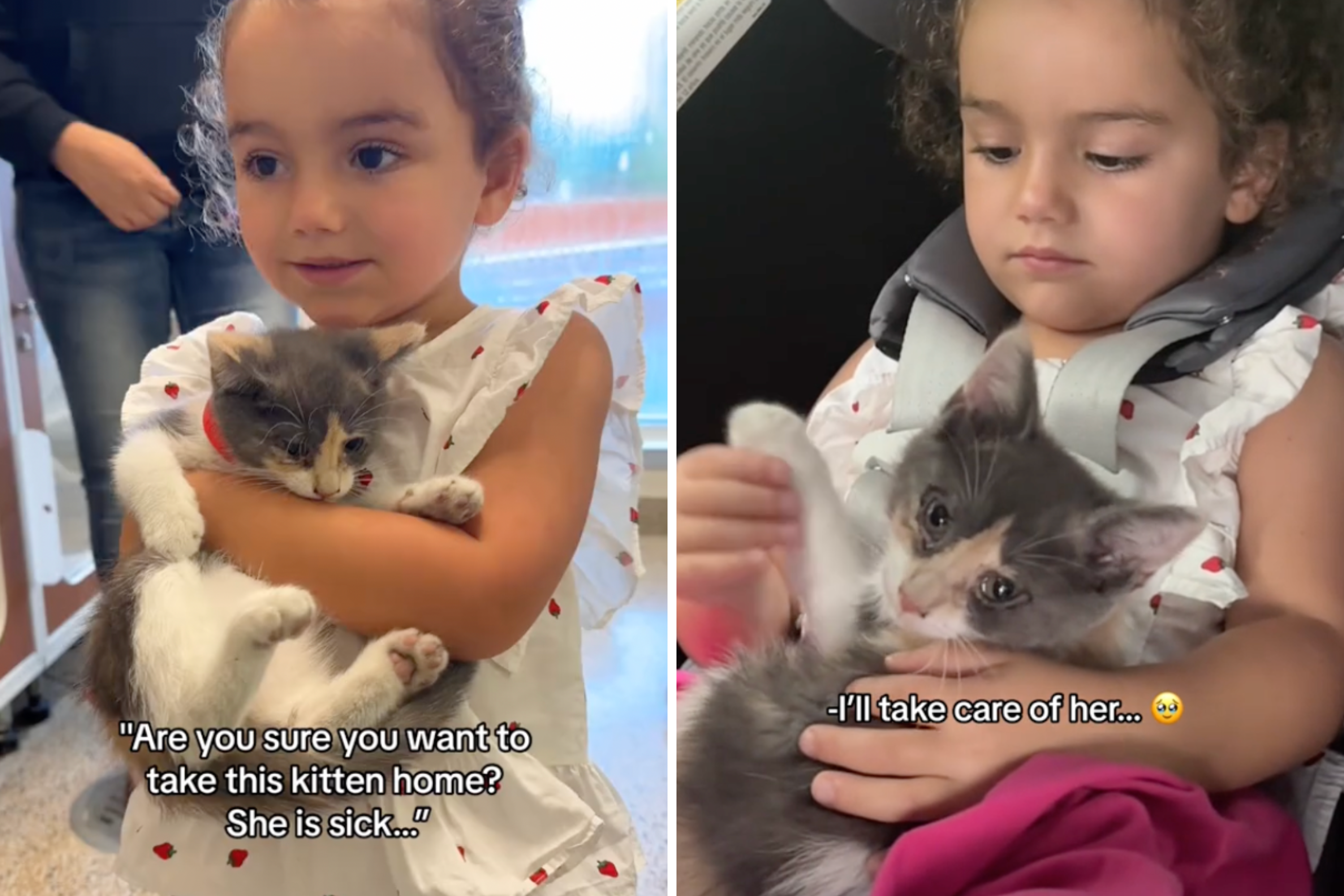 Sick Cat Finds Forever Home After 3-Year-Old Girl Vows to Care for Her