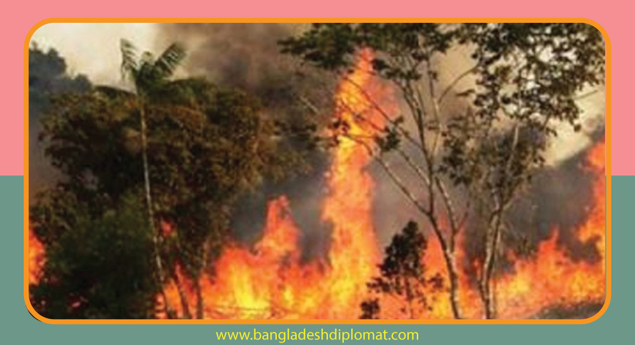 The Sundarbans are on fire  Bangladesh Diplomat