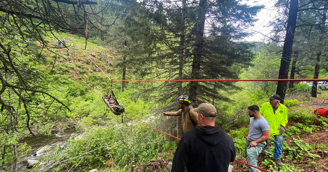 Dog Runs 4 Miles to Get Help After Owner Crashes Truck in a Ravine