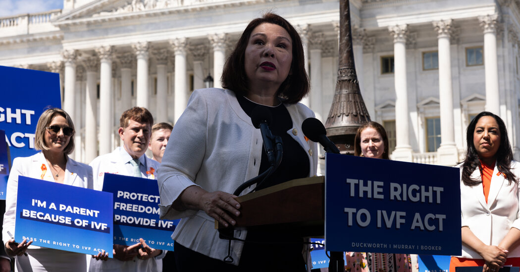 Senate G.O.P. Blocks I.V.F. Access Bill as Democrats Press for Political Edge