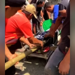 Missing Indonesian woman found in python's stomach