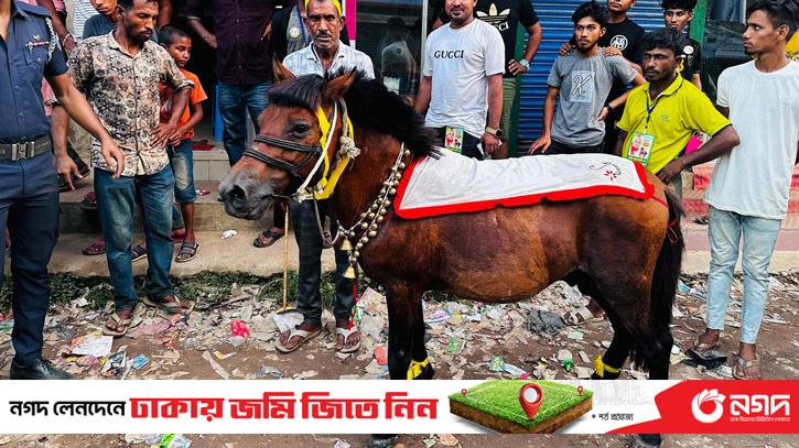 Campaigning on live animals, fined Rs 40,000