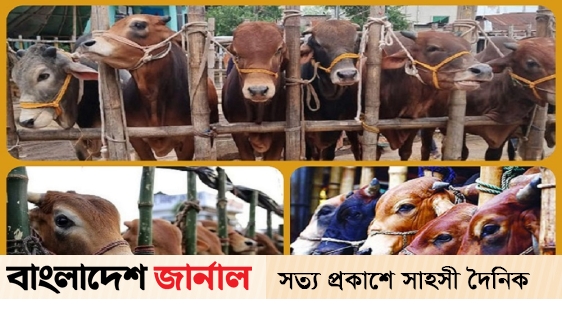 The sale of sacrificial animals has started today in 20 markets of the capital