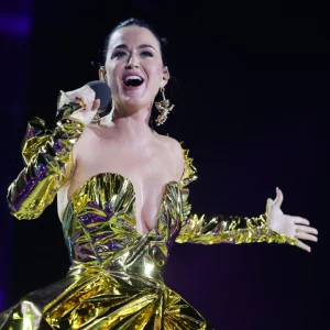 How much did Katy Perry pay to sing at Ambani's son's wedding?
