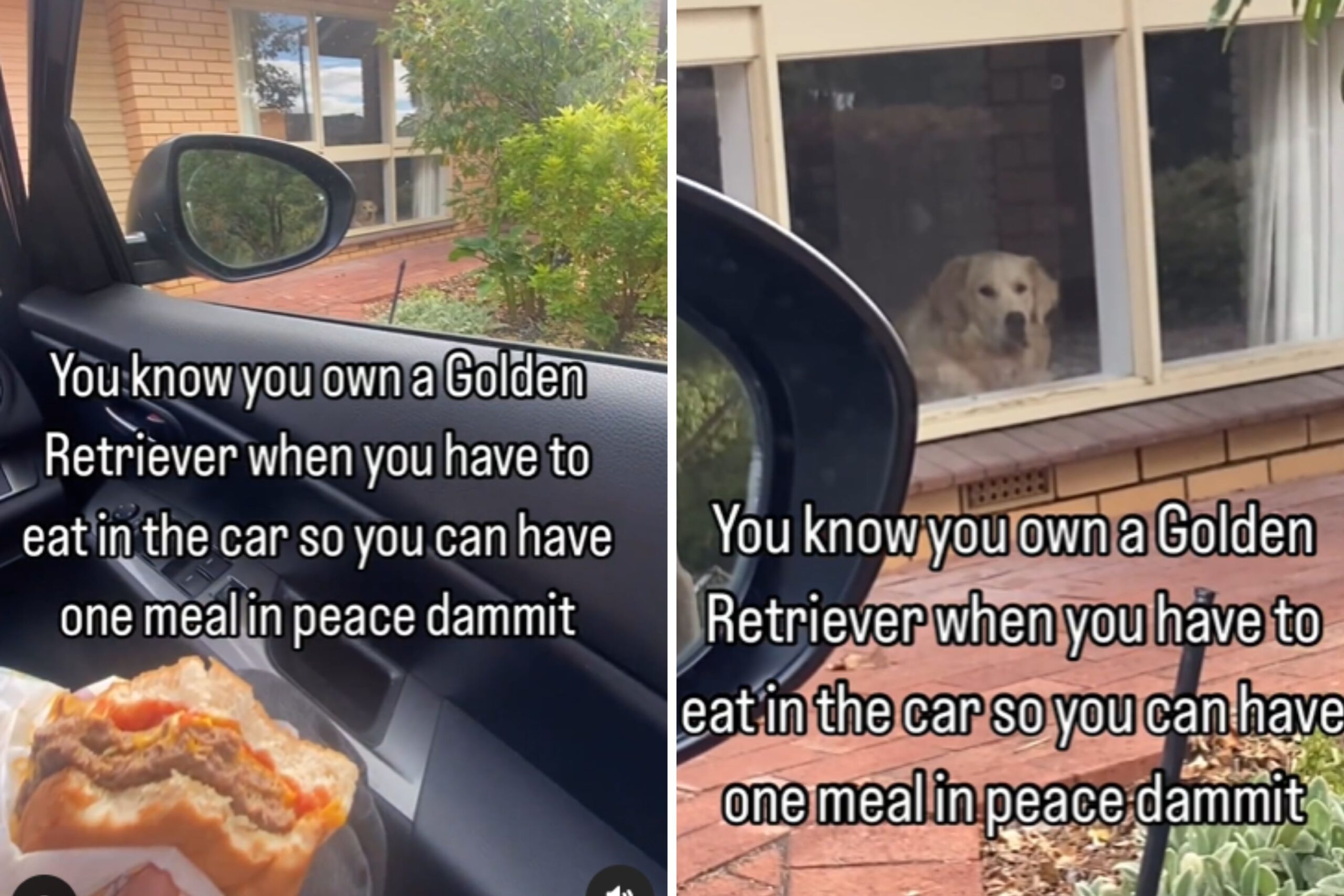 Owner Forced to Eat in Car Films Reason They Can’t Have ‘One Meal in Peace’