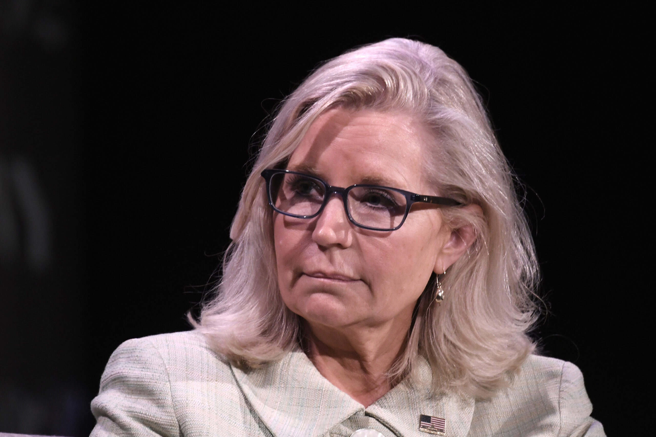 Liz Cheney Takes Dig at Donald Trump in D-Day Message