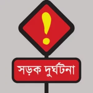 Satkhira engine driven van hit by bus, 1 killed