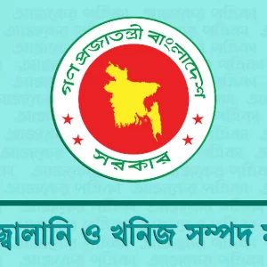 Formation of National Committee to Review Electricity-Fuel Special Law