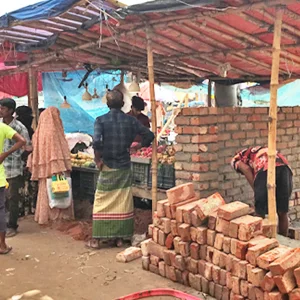 Construction of structures by occupying government land in Sherpur
