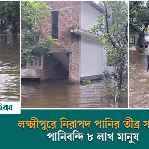 In Lakshmipur, 8 lakh people are trapped in water, crying for safe water