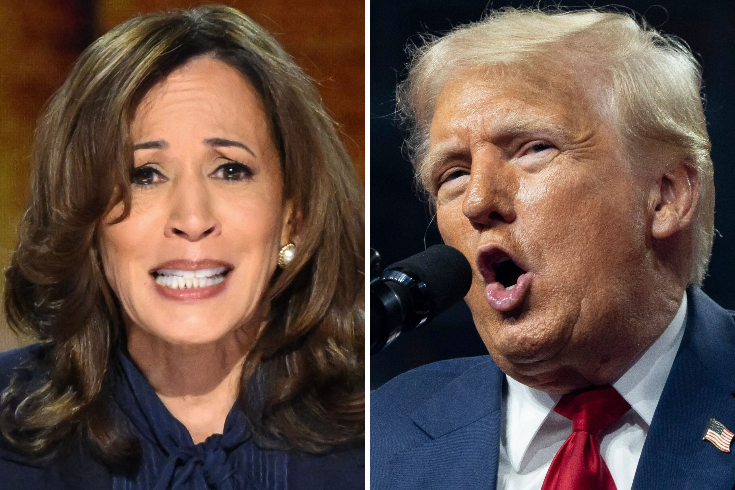 Donald Trump Questions Kamala Harris’ ‘Right To Run for President’