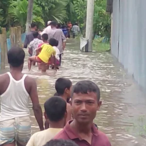 In Lakshmipur, the snake infestation has increased due to floods, many have been bitten and treated