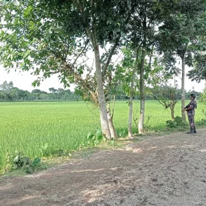 BSF obstructed by BGB during illegal construction of fence at zero line in Dahagram, tension on the border