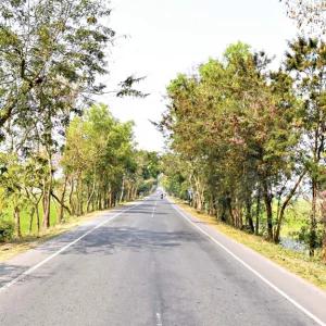 Virtues of keeping roads passable
