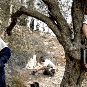 Israel responsible for one-quarter of global 'water violence', victims Palestinians