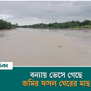 Agriculture and fisheries sectors are facing huge losses due to floods in Moulvibazar