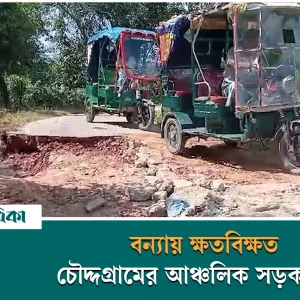 Public distress: Most of the roads are impassable due to floods in Chouddagram of Comilla