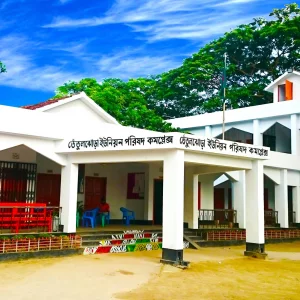 Union Parishad: Who will take charge in the absence of the chairmen
