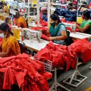 Cotton exports to Bangladesh slow down, worries Indian traders