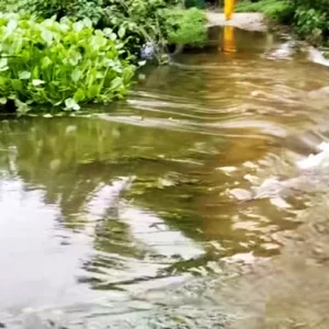4 more people drowned in Comilla flood water