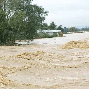 A young man drowned in the river while fishing in the flood waters and went missing