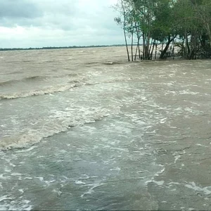 Mobile operators announce free minutes-internet in flood-affected areas