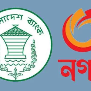 The central bank appointed the administrator in cash