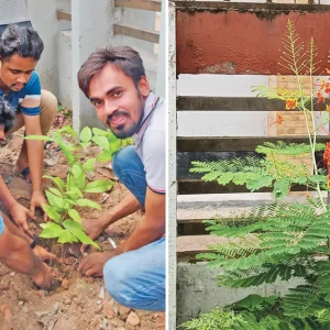 The story of flowers