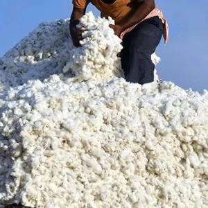 Due to uncertainty in the market, the prices of cotton and fuel oil are also down